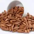Pine Nuts